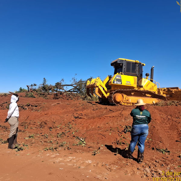 Licenciamento Ambiental